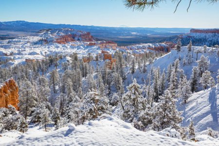 Photo for Picturesque colorful pink rocks of the Bryce Canyon National park in the winter season, Utah, USA - Royalty Free Image