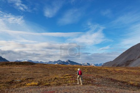 Photo for Hike in the polar tundra - Royalty Free Image