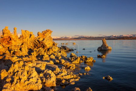 Téléchargez les photos : Formations insolites de lacs Mono au lever du soleil - en image libre de droit