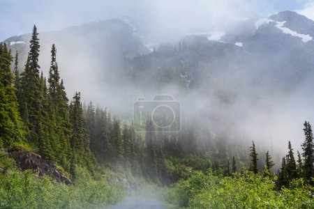 Photo for Beautiful mountain peak in  North Cascade Range, Washington,  USA - Royalty Free Image