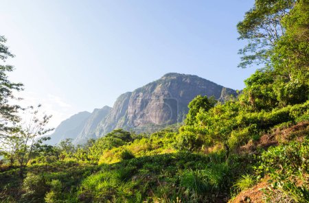 Foto de Hermosos paisajes naturales verdes en Sri Lanka montañas - Imagen libre de derechos
