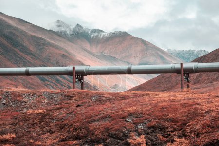 Téléchargez les photos : USA, Alaska, Dalton Highway pipeline dans la vallée - en image libre de droit