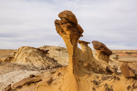Foto de Paisajes desérticos inusuales en las tierras baldías de Bisti, área salvaje de De-na-zin, Nuevo México, Estados Unidos - Imagen libre de derechos