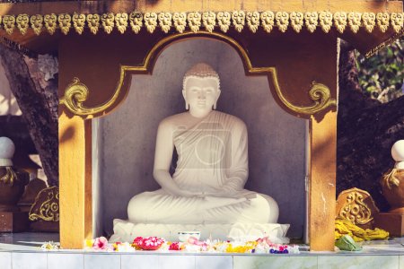 Foto de Estatua de budas en templo Buddhist, Myanmar, Asia - Imagen libre de derechos