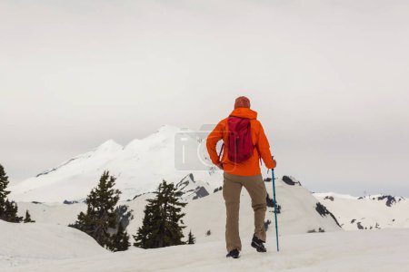 Photo for Hiker in the winter mountains - Royalty Free Image