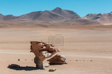 Téléchargez les photos : Arbol de piedra (Rock tree), south Altiplano, Bolivia - en image libre de droit