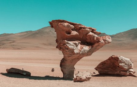 Foto de Arbol de piedra (Rock tree), south Altiplano, Bolivia - Imagen libre de derechos