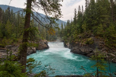 Téléchargez les photos : Beautiful mountains river in summer season, Canada - en image libre de droit
