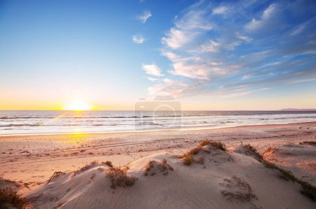 Téléchargez les photos : Sandy beach and dunes on the ocean coast. Baja California, Mexico - en image libre de droit