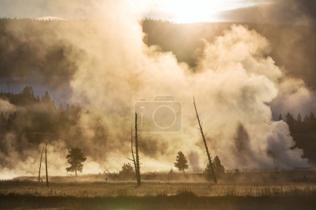 Photo for Inspiring natural background. Pools and  geysers  fields  in Yellowstone National Park, USA. - Royalty Free Image