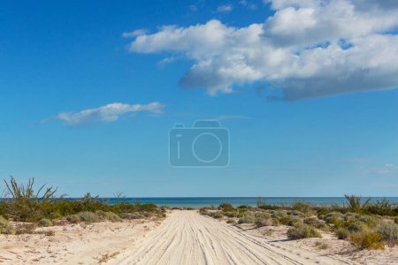 Photo for Beautiful natural landscapes in Baja California, Mexico - Royalty Free Image