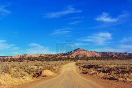 Photo for Road in the prairie country. Deserted natural travel background. - Royalty Free Image