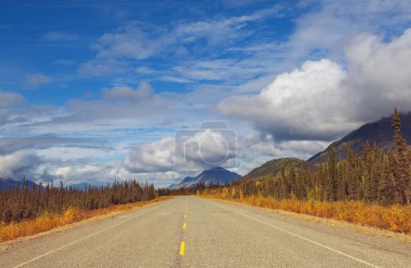 Foto de Colorida escena de otoño en el camino rural en el bosque - Imagen libre de derechos