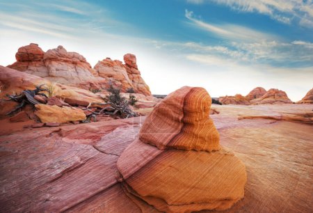 Photo for Coyote Buttes of the Vermillion Cliffs Wilderness Area, Utah and Arizona - Royalty Free Image