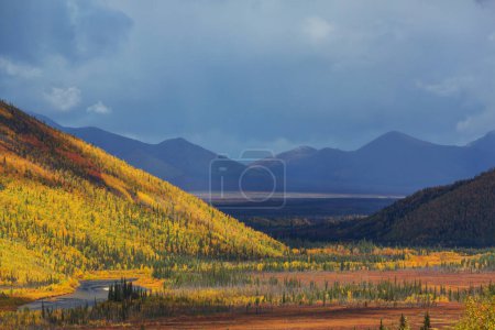 Téléchargez les photos : Tundra landscapes above Arctic circle in autumn season. Beautiful natural background. - en image libre de droit