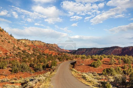 Photo for Road in the prairie country. Deserted natural travel background. - Royalty Free Image