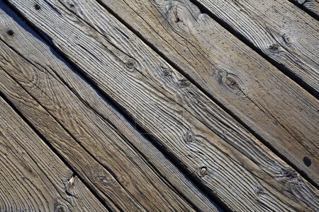 Foto de Fondo textura madera marrón, corteza araucaria - Imagen libre de derechos