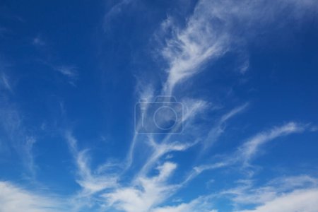 Photo for Sunny background, blue sky with white clouds, natural background. - Royalty Free Image