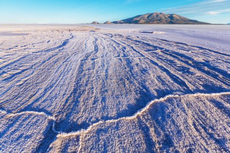 Téléchargez les photos : Ojo del Mar dans un désert de sel dans la province de Jujuy, Argentine - en image libre de droit