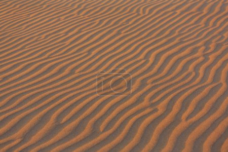 Téléchargez les photos : Texture abstraite cercle dessiné avec de l'herbe sèche sur le sable - en image libre de droit