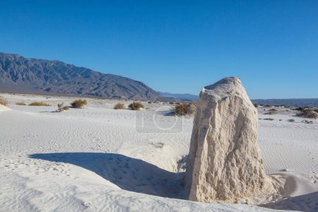 Photo for Unusual natural landscapes in white sands dunes in  Mexico - Royalty Free Image