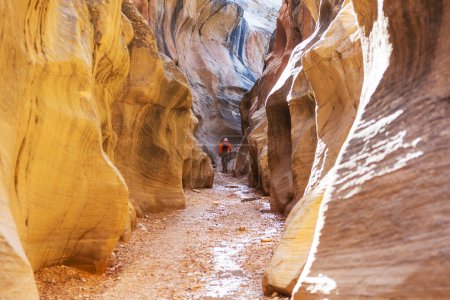 Photo for Slot canyon in Grand Staircase Escalante National park, Utah, USA. Unusual colorful sandstone formations in deserts of Utah are popular destination for hikers. - Royalty Free Image