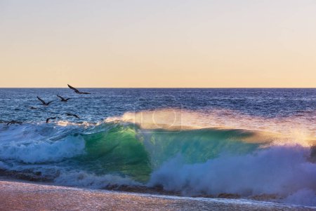 Téléchargez les photos : Une vague bleue sur la plage. Contexte naturel dramatique. - en image libre de droit