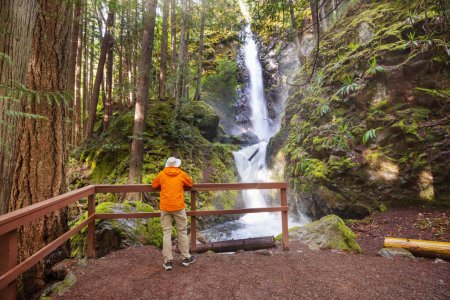 Téléchargez les photos : Randonneur près d'une belle cascade dans les montagnes canadiennes - en image libre de droit