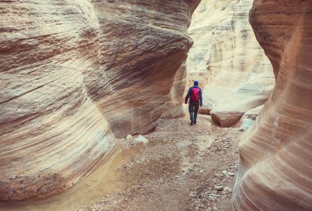 Foto de Ranura cañón en Grand Staircase Escalante National park, Utah, EE.UU.. Formaciones inusuales de arenisca de colores en los desiertos de Utah son un destino popular para los excursionistas. - Imagen libre de derechos