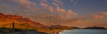 Foto de Beautuful landscapes in  Baja California, Mexico. Travel background - Imagen libre de derechos