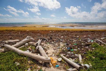Foto de Concepto ecológico. La contaminación de la playa-basura en la playa del mar - Imagen libre de derechos