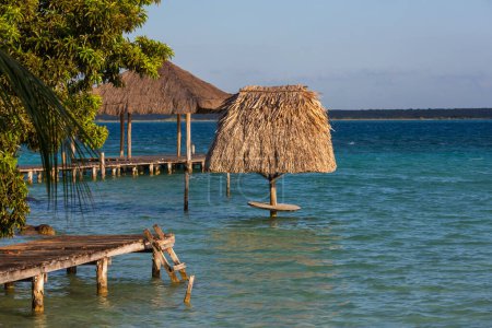 Téléchargez les photos : Lac Bacalar au Mexique - en image libre de droit