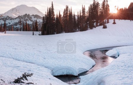 Téléchargez les photos : Parc national du Mont Rainier au lever du soleil, États-Unis, Washington - en image libre de droit