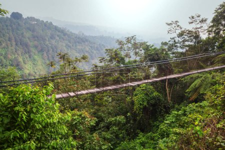 Téléchargez les photos : Suspension bridge in jungle, Sri Lanka - en image libre de droit