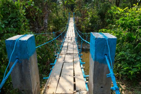 Suspension bridge in tropical jungle