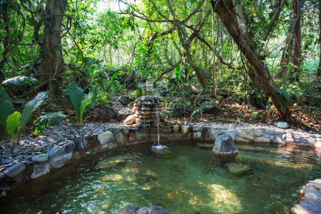 Téléchargez les photos : Sources thermales Luna Jaguar au Honduras - en image libre de droit