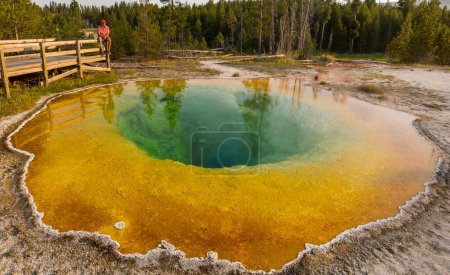 Téléchargez les photos : Colorful Morning Glory Pool - célèbre source chaude dans le parc national de Yellowstone, Wyoming, États-Unis - en image libre de droit