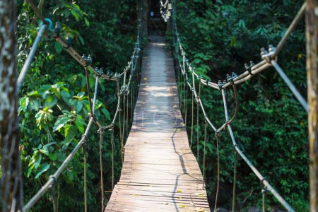 Most wiszący w tropikalnej dżungli