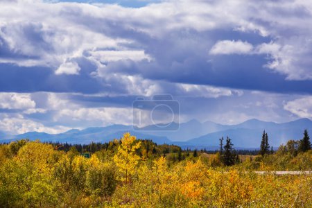 Photo for Picturesque Mountains of Alaska in autumn. Snow covered massifs, glaciers and rocky peaks, orange trees. Beautiful natural background. - Royalty Free Image