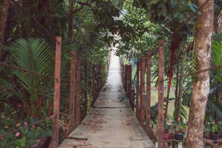 Téléchargez les photos : Pont suspendu dans la jungle tropicale - en image libre de droit
