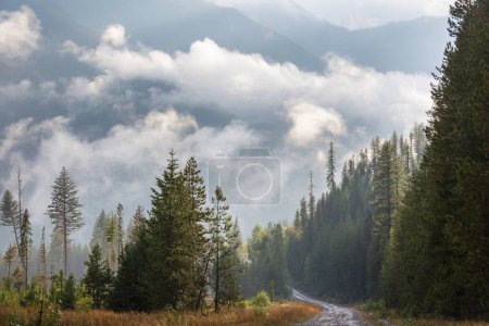 Téléchargez les photos : Brouillard dans les hautes montagnes. Beaux paysages naturels. - en image libre de droit