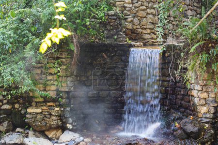 Photo for Luna Jaguar Hot Springs in Honduras - Royalty Free Image
