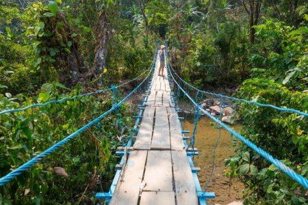 Téléchargez les photos : Touriste sur le pont suspendu dans la jungle tropicale, Honduras - en image libre de droit