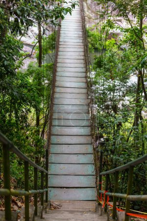 Foto de Puente colgante en selva tropical - Imagen libre de derechos