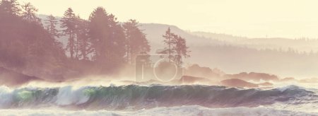 Photo for Pacific ocean  at sunset. Beautiful nature landscape. - Royalty Free Image