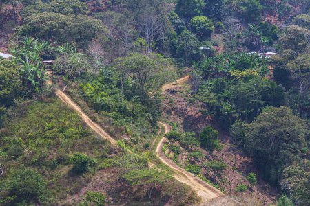 Téléchargez les photos : Route rurale au Honduras - en image libre de droit