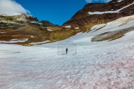 Téléchargez les photos : The climb in snowy mountains in the summer season - en image libre de droit