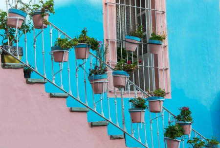 Photo for Flower pots in the colorful streets of Guanajuato, Mexico - Royalty Free Image