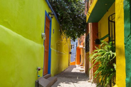 Foto de Coloridas casas de estilo colonial de un pueblo mexicano Guanajuato - Imagen libre de derechos