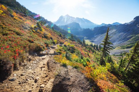 Téléchargez les photos : Beau paysage de montagnes à Mt Baker Recreational Area, Washington, États-Unis - en image libre de droit